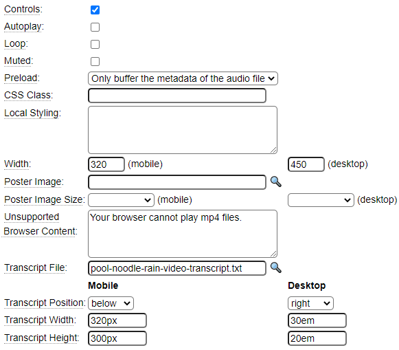 Main parameters of video model