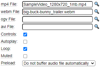 Sample video specification