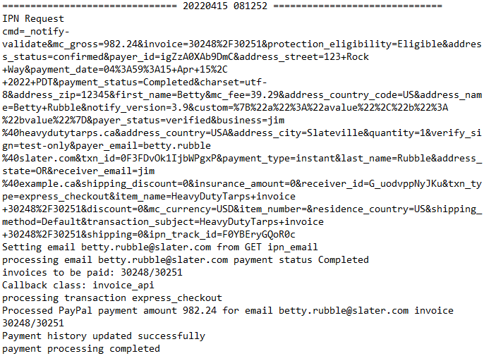 Instant Payment Log Example