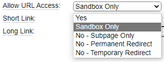 Only allow page execution within the sandbox or development environment